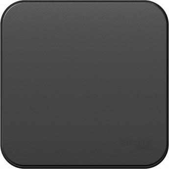 1-клавишный выключатель SCHNEIDER ELECTRIC BLANCA с самовозвратом, с изолирующей пластиной, 10А, АНТРАЦИТ