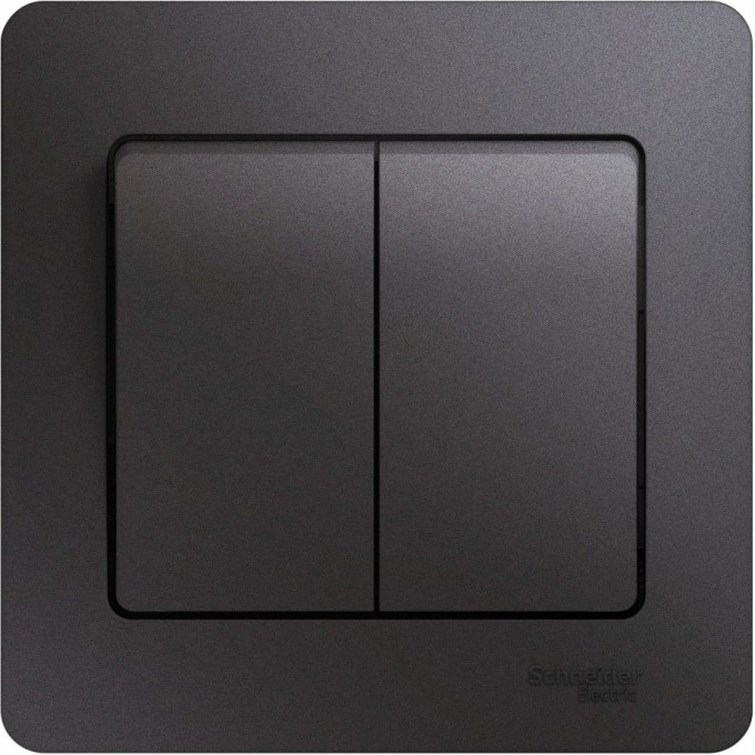 2-клавишный выключатель SCHNEIDER ELECTRIC GLOSSA, сх.5, 10АХ, в сборе, ГРАФИТ GSL001352