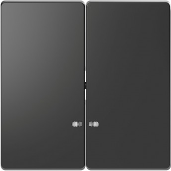 Клавиша двойная MERTEN D-LIFE с линзой для LED модуля, АНТРАЦИТ Клавиша двойная MERTEN D-LIFE с линзой для LED модуля, АНТРАЦИТ