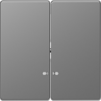 Клавиша двойная MERTEN D-LIFE с линзой для LED модуля, НЕРЖ. СТАЛЬ Клавиша двойная MERTEN D-LIFE с линзой для LED модуля, НЕРЖ. СТАЛЬ