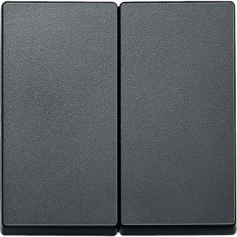 Клавиша двойная SCHNEIDER ELECTRIC MERTEN X2, АНТРАЦИТ, SM Клавиша двойная SCHNEIDER ELECTRIC MERTEN X2, АНТРАЦИТ, SM