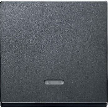Клавиша одинарная SCHNEIDER ELECTRIC MERTEN с окном для световой индикации, АНТРАЦИТ, SM