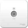 Коннектор ТВ SCHNEIDER ELECTRIC BLANCA с изолирующей пластиной, БЕЛЫЙ BLNTA000011
