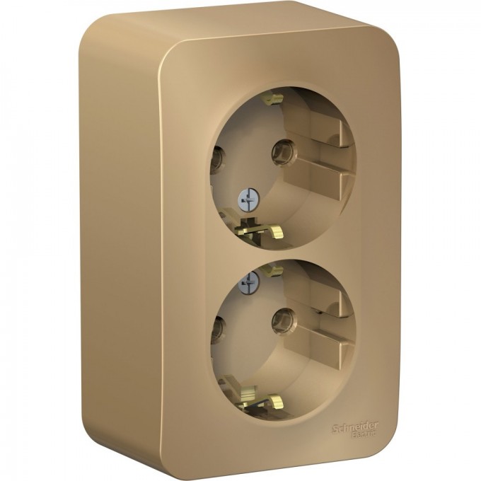 Розетка двойная SCHNEIDER ELECTRIC BLANCA с заземлением, без шторок, 16А, 250В, титан BLNRA010204