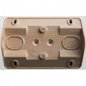 Розетка двойная угловая SCHNEIDER ELECTRIC ЭТЮД с заземлением со шторками 16А, СОСНА, Россия