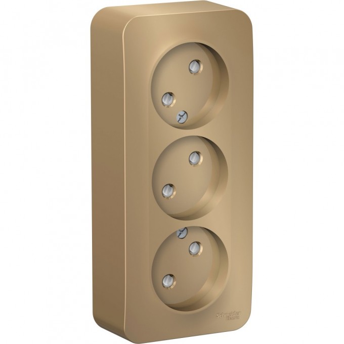Трёхместная розетка SCHNEIDER ELECTRIC BLANCA без заземления, со шторками, с изолирующей пластиной, 16А, 250В, ТИТАН BLNRA001314