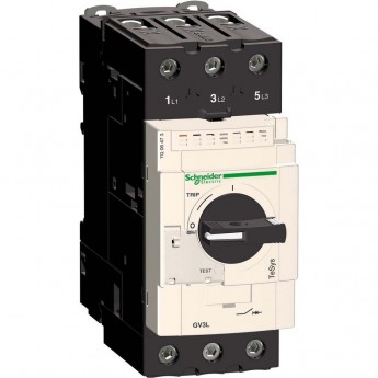 Автоматический выключатель с магнитным расцепителем SCHNEIDER ELECTRIC TESYS 65А (винтовой зажим)