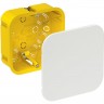 Коробка распределительная для полых стен 100X100X50 IMT35161